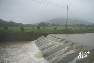 雷竞技数据